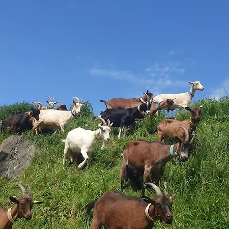 D'hotes A La Chevrerie De Saint Michel Vendégház Beaune (Savoie)