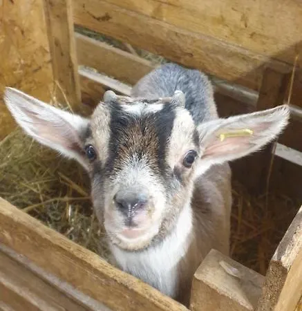 D'hotes A La Chevrerie De Saint Michel Vendégház 3*