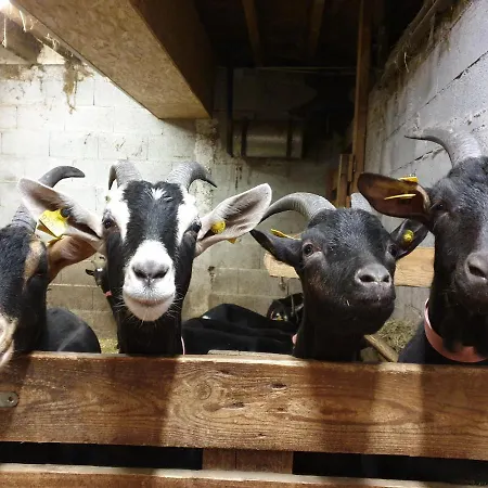 Vendégház D'hotes A La Chevrerie De Saint Michel